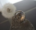 /album/unsere-werke-3/a1-mit-pusteblume-1-jpg/